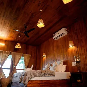 Driftwood India
